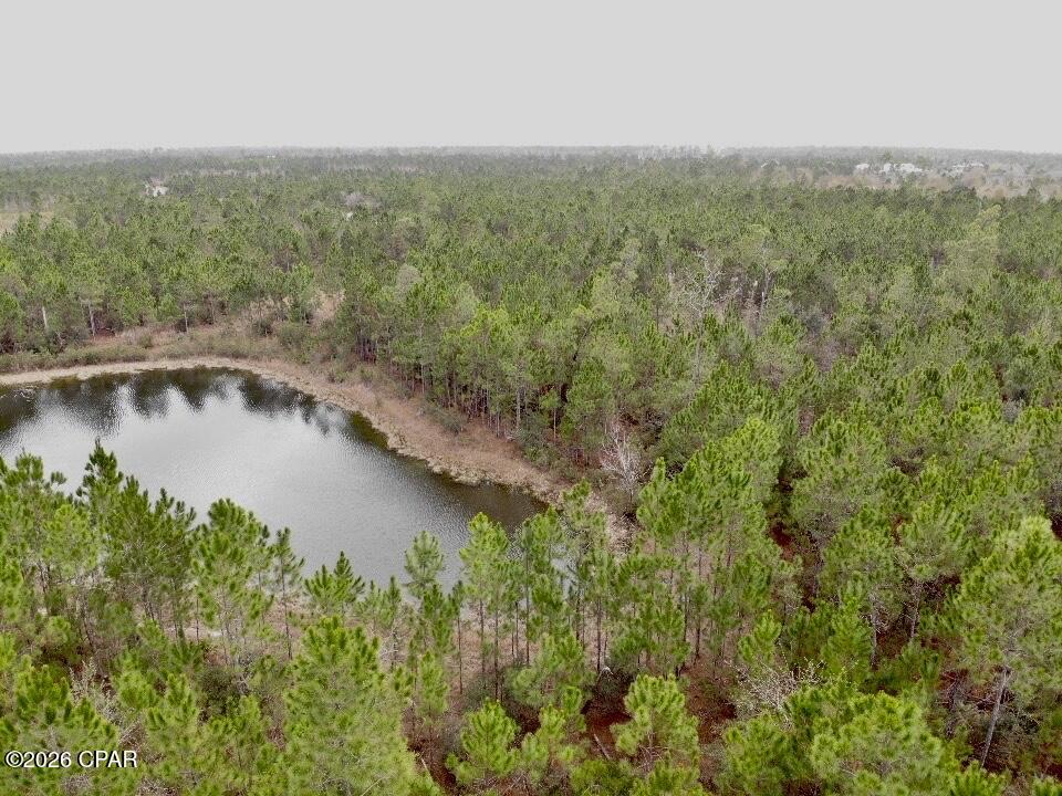 114 Widewater Circle, Wewahitchka, FL 32465