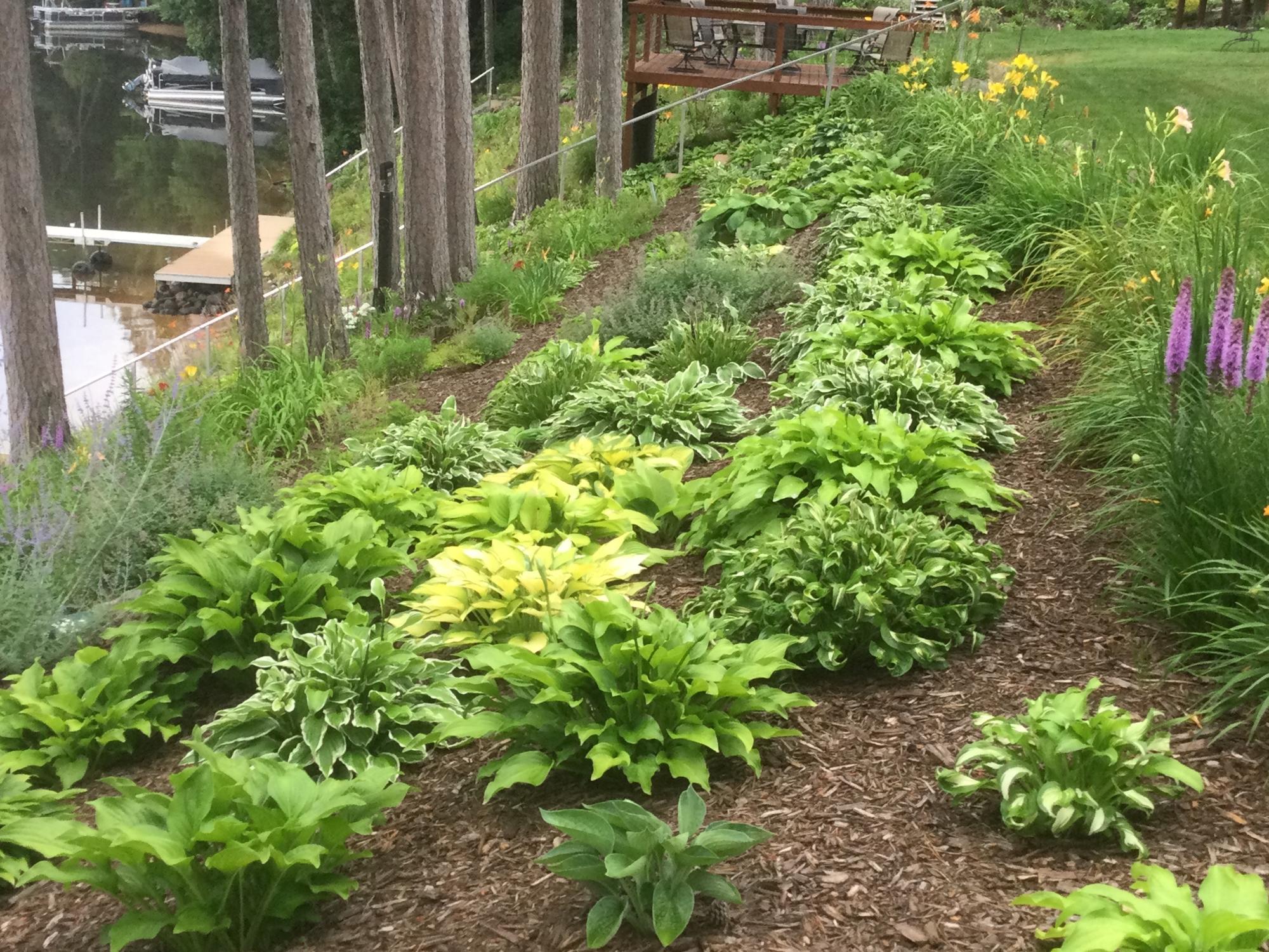 Lake Nokomis Property 2244 River Rd Photo 48