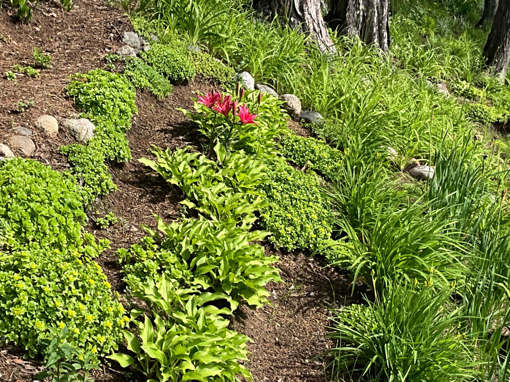 Lake Nokomis Property 2244 River Rd Photo 52