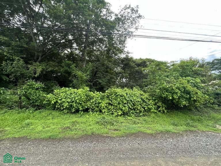 0 bed Land For Sale in Santa Cruz, Guanacaste - 1