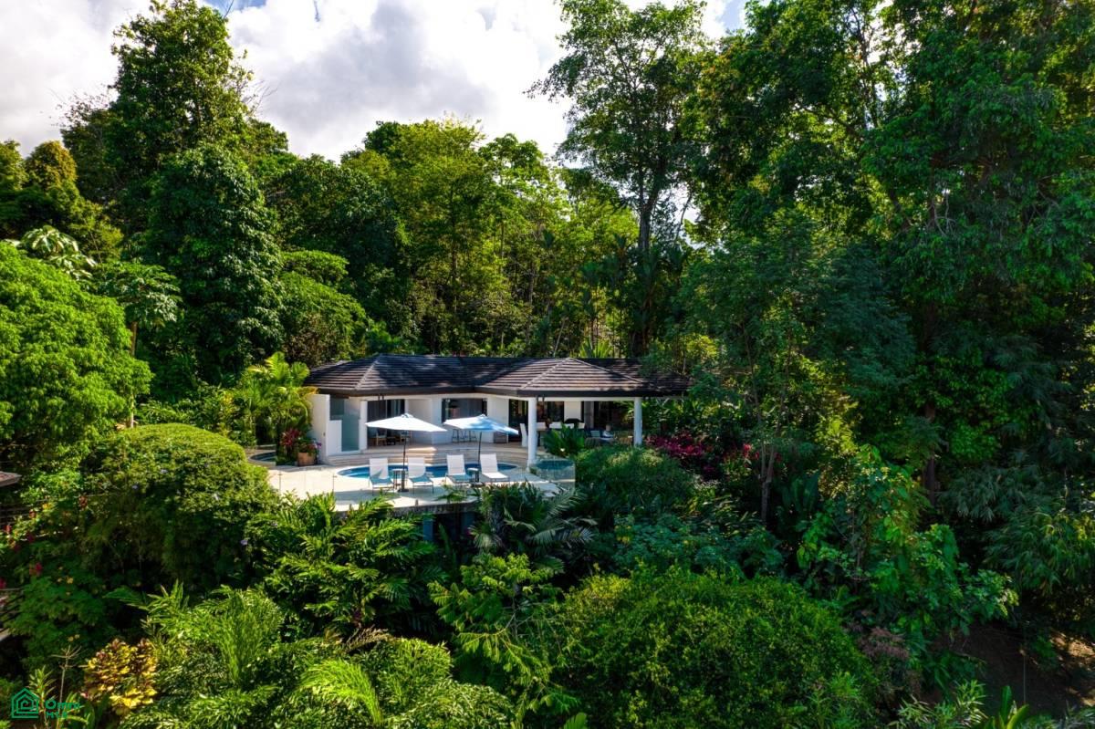 4 bed Single Family Homes For Sale in Osa, Puntarenas - 1