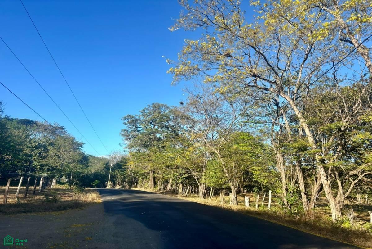Property at Portegolpe
