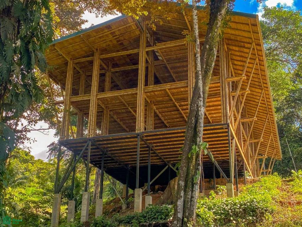 0 bed Land For Sale in Osa, Puntarenas - 1