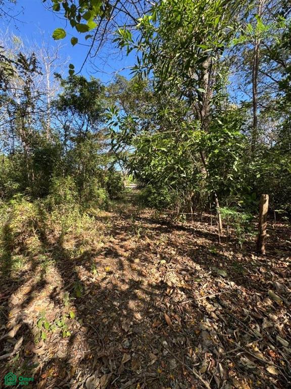 0 bed Land For Sale in Santa Cruz, Guanacaste - 1