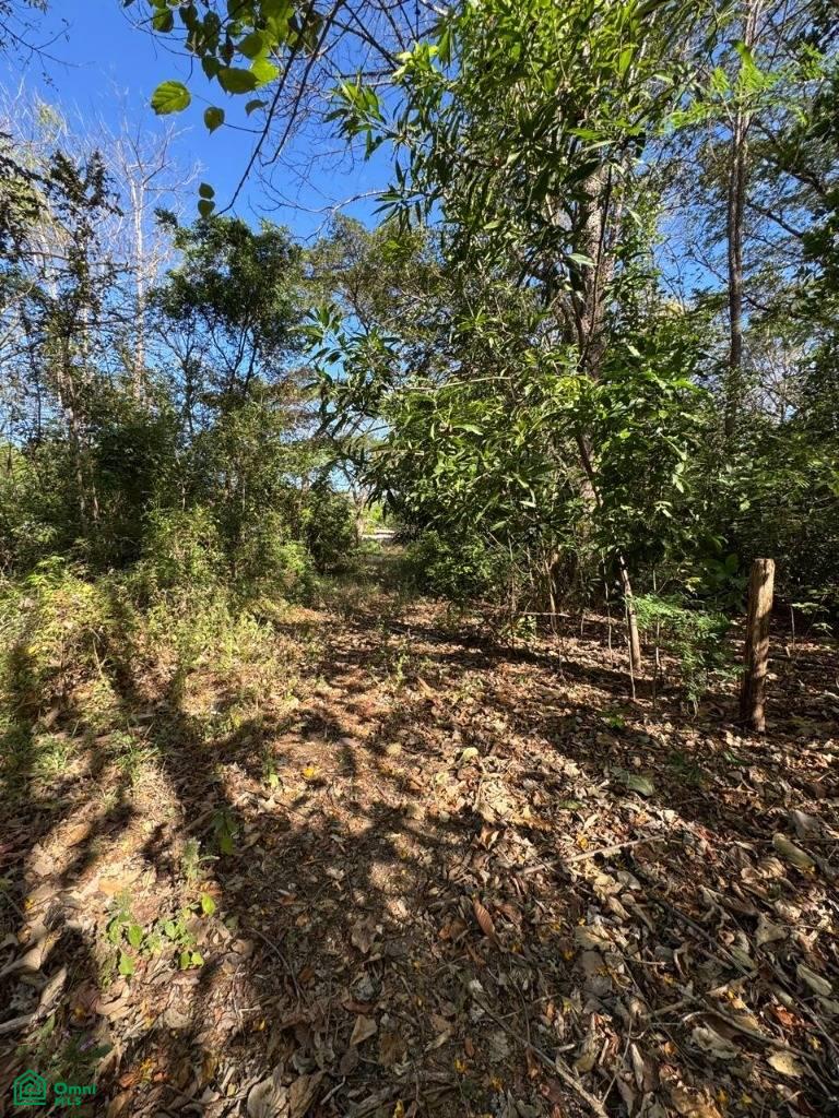 0 bed Land For Sale in Santa Cruz, Guanacaste - 1
