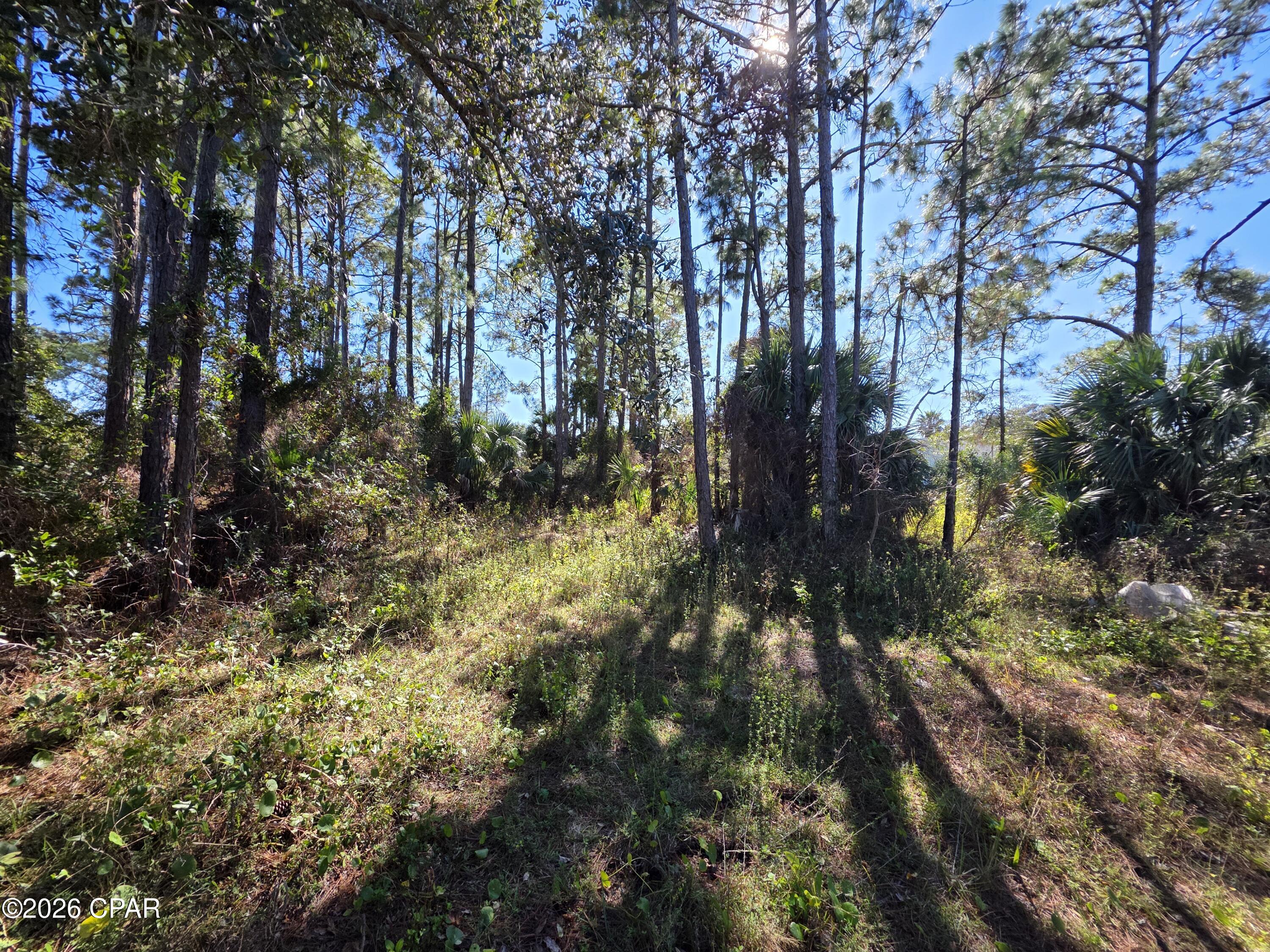 Image 6 For 5700 Pinetree Avenue