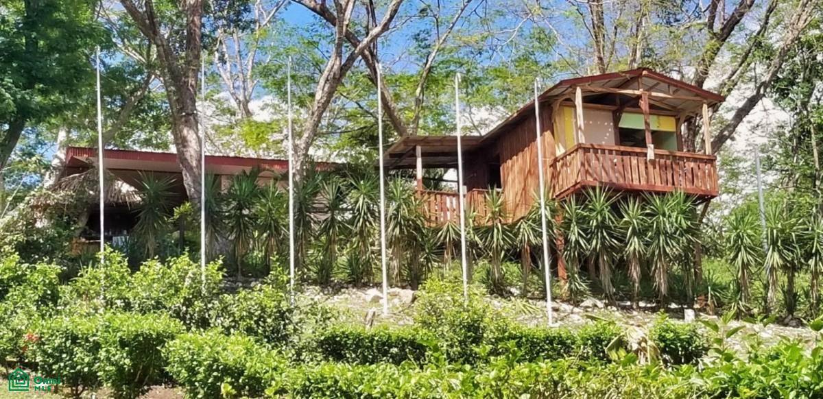 3 bed Single Family Homes For Sale in Puntarenas, Puntarenas - 1