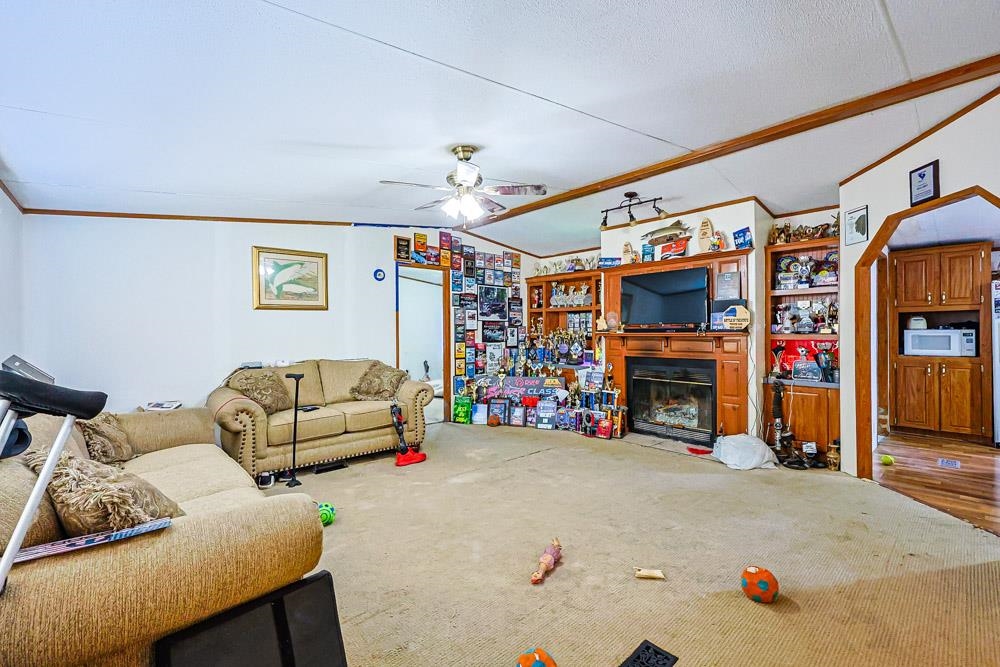 2601477 | Photo 2