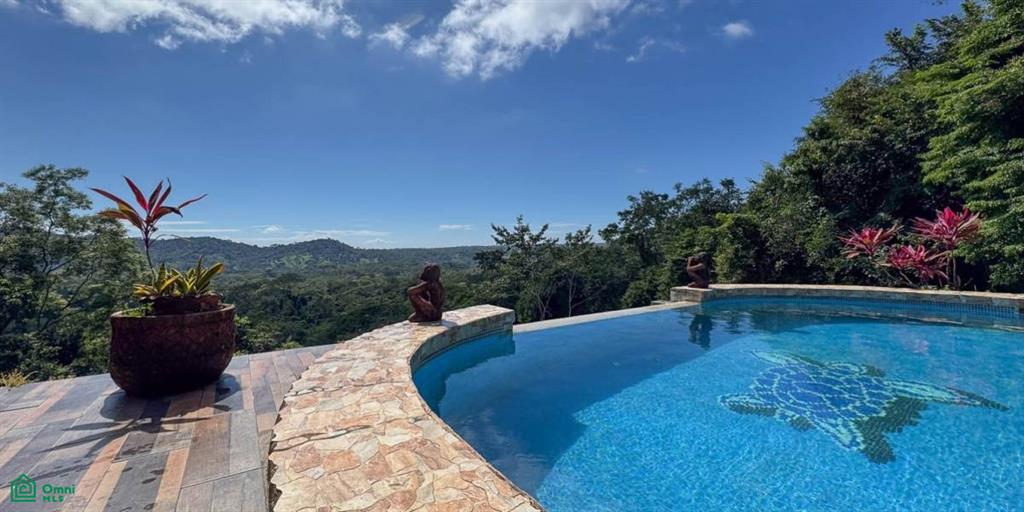 4 bed Single Family Homes For Sale in Puntarenas, Puntarenas - 1