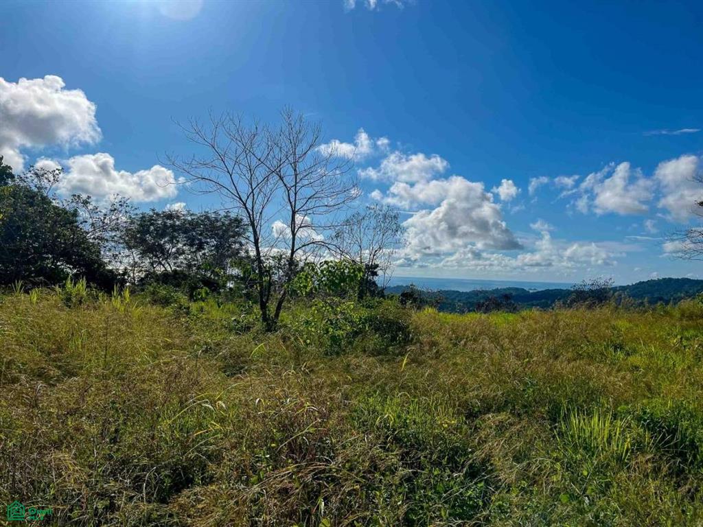 0 bed Land For Sale in Osa, Puntarenas - 1