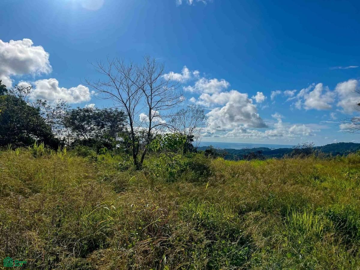 0 bed Land For Sale in Osa, Puntarenas - 1