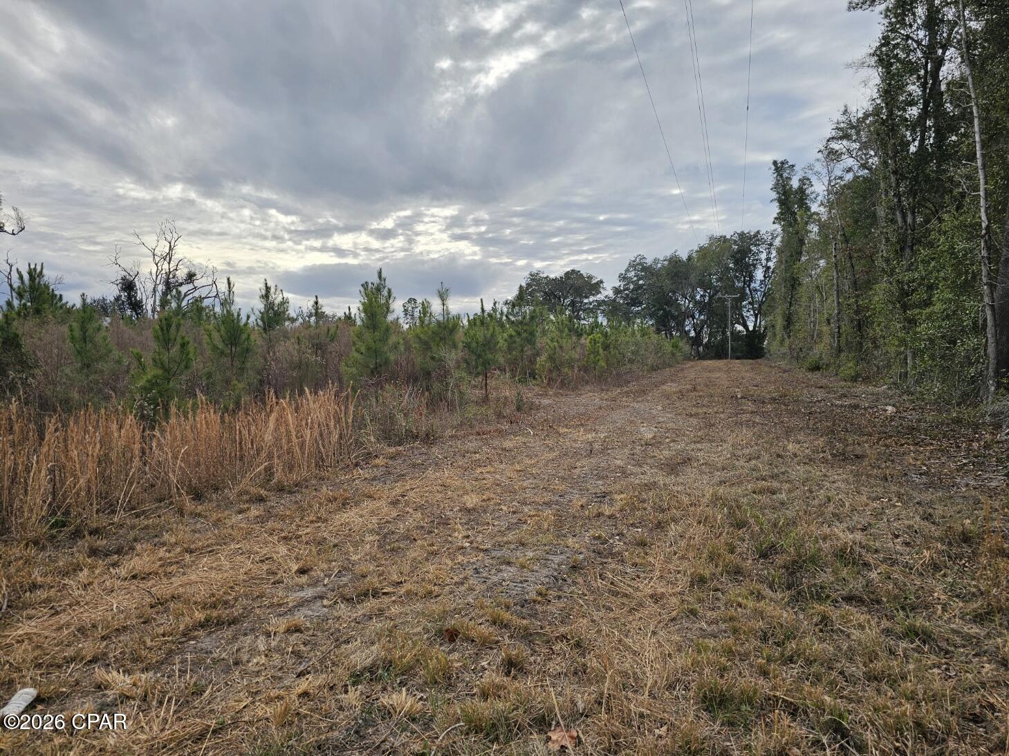 1st image of 000 Lovewood Rd, Cottondale, FL 32431 | MLS# 783844