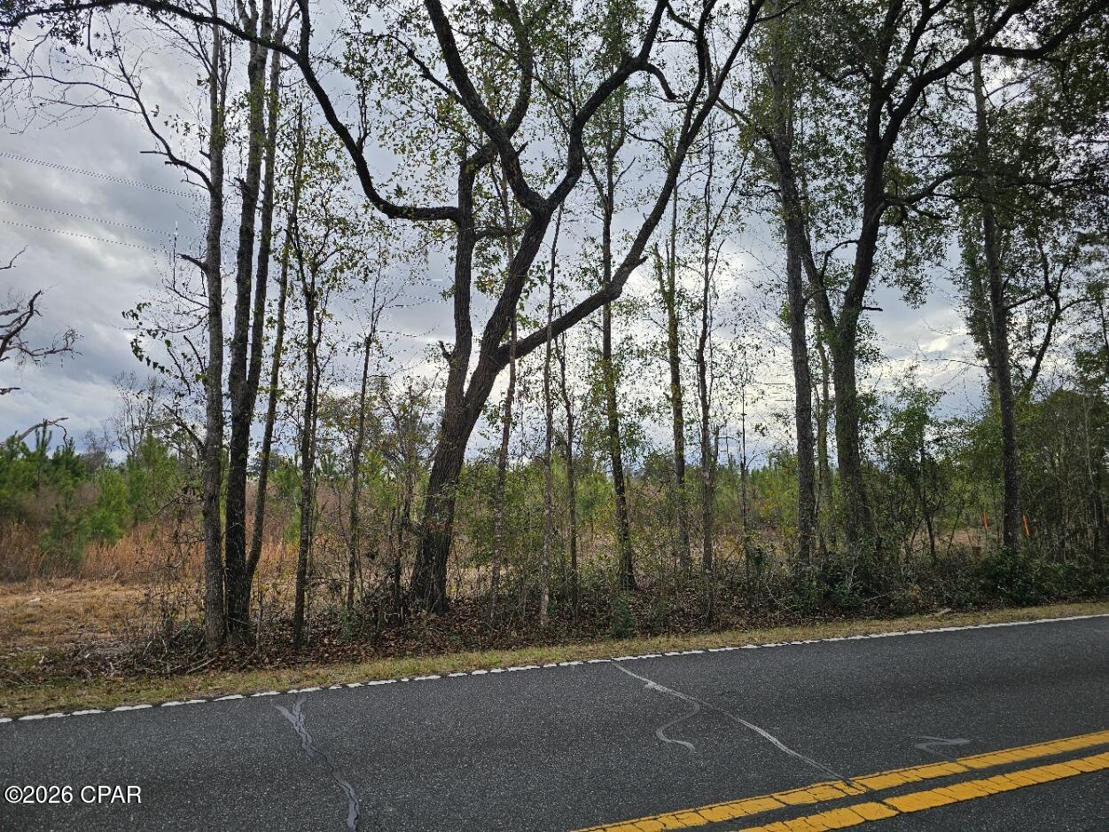 4th image of 000 Lovewood Rd, Cottondale, FL 32431 | MLS# 783844