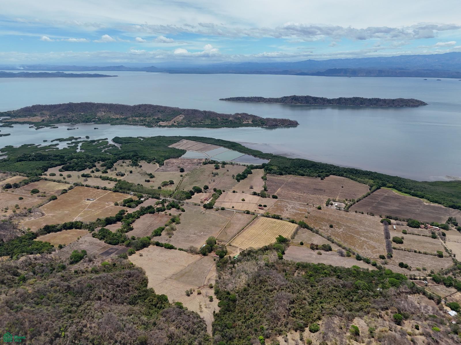  bed Land For Sale in Puntarenas, Puntarenas - 1