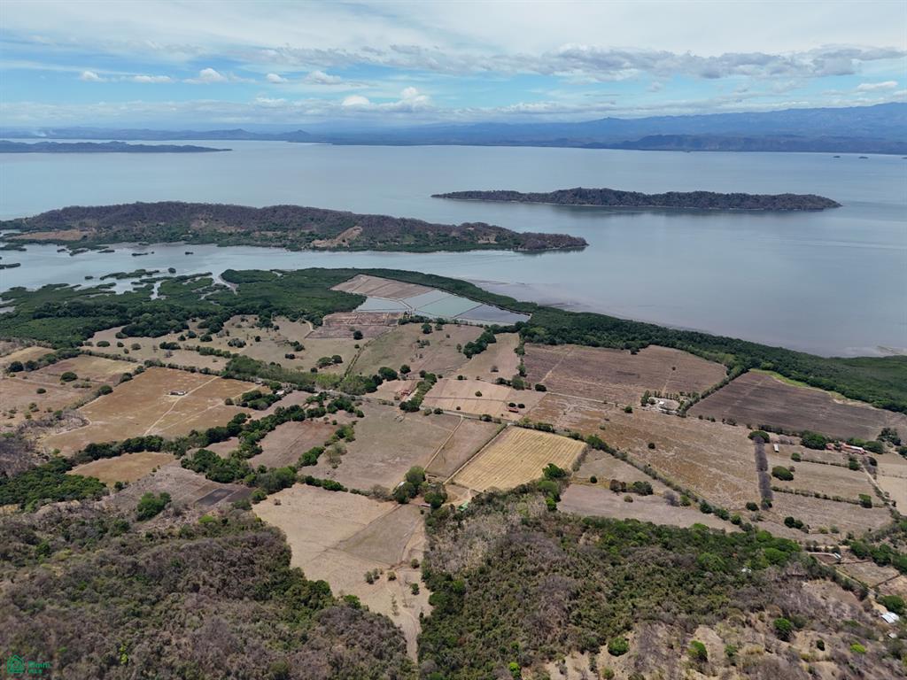 Loma Verde | 120 Hectares