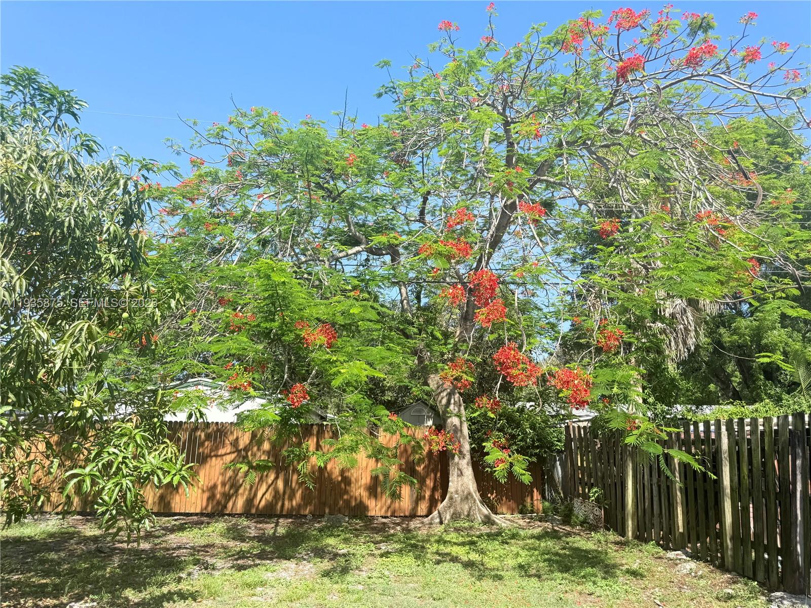 Homes for sale in Hollywood, FL | 1311 N 69Th Ave, Hollywood, FL 33024 | MLS# A11935875