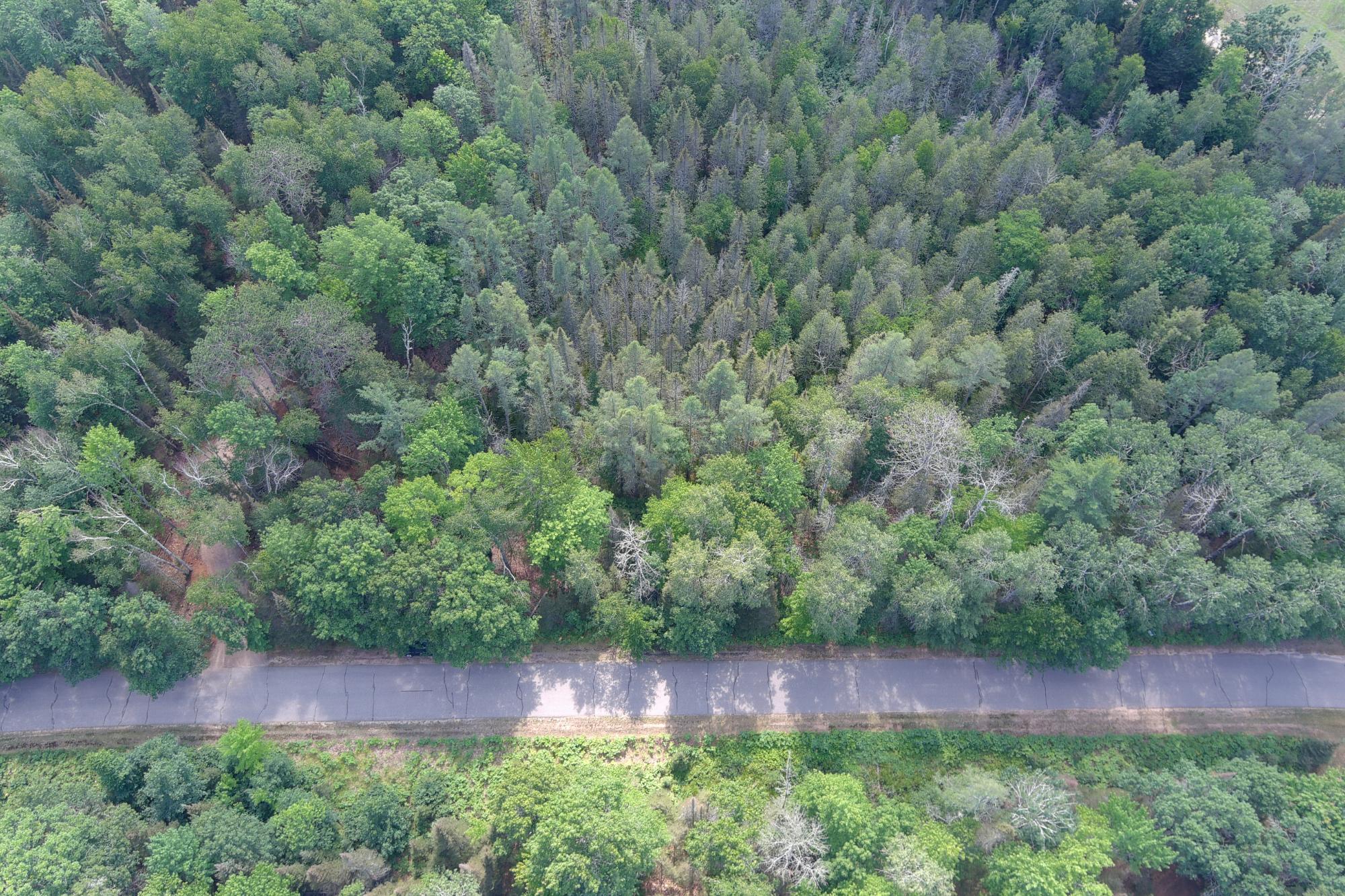 Undocumented Lake Property Lot 2 Kuczmarski Dr Photo 13