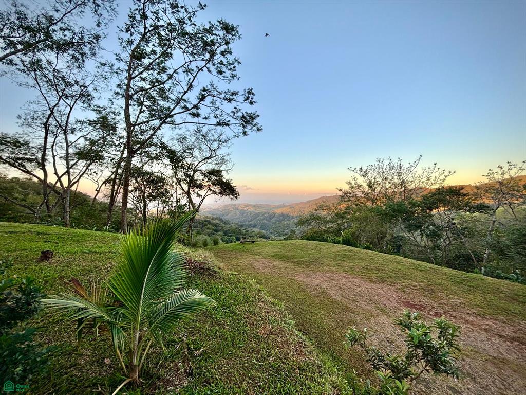  bed Land For Sale in Nicoya, Guanacaste - 1