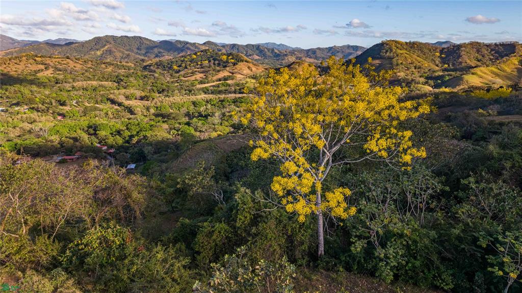  bed Land For Sale in Nicoya, Guanacaste - 1