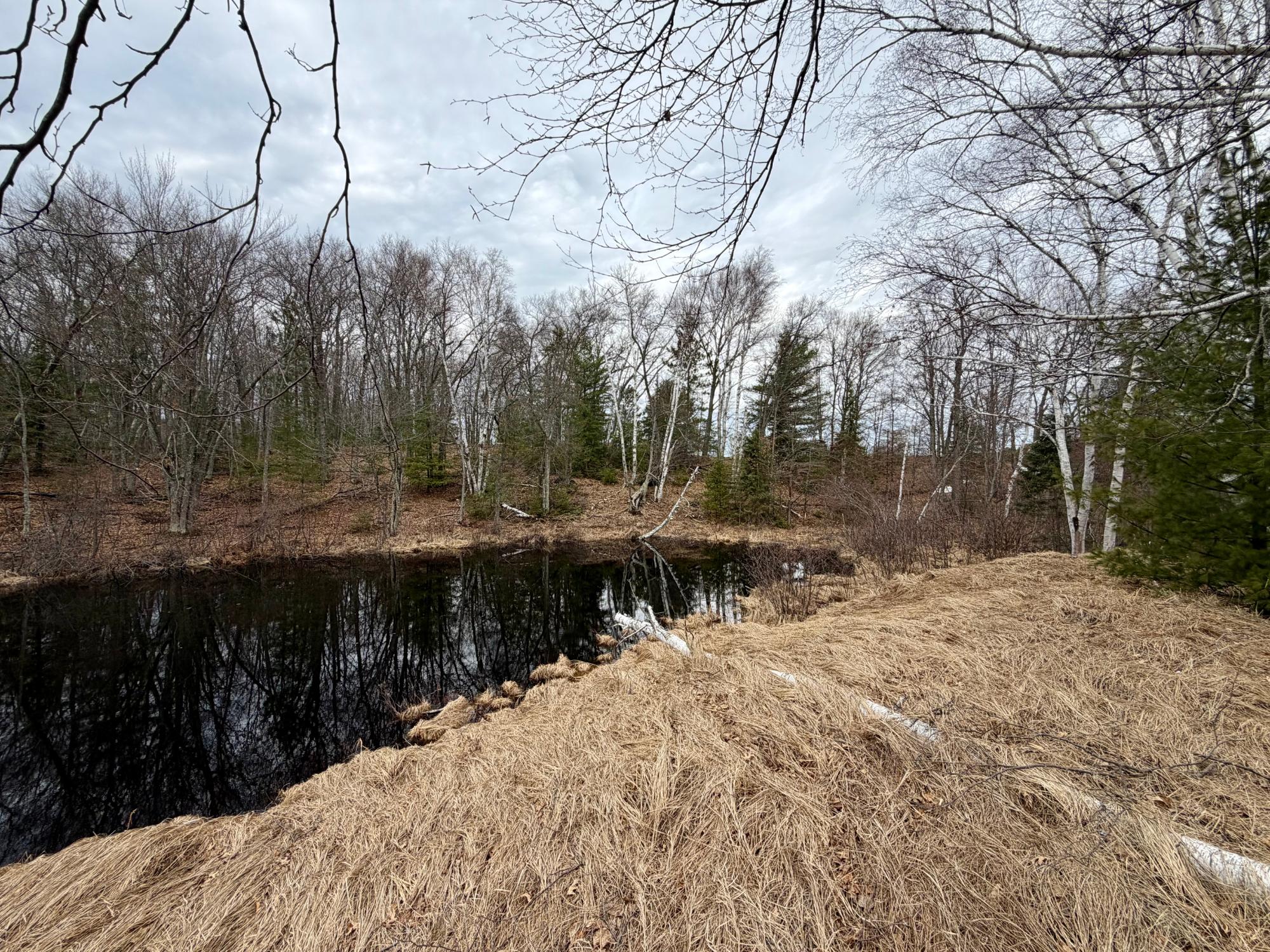 Undocumented Lake lot picture