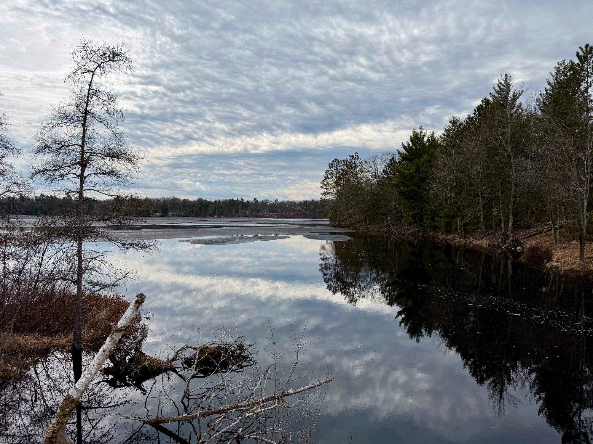 Undocumented Lake Property 3633 Kuczmarski Dr Photo 11