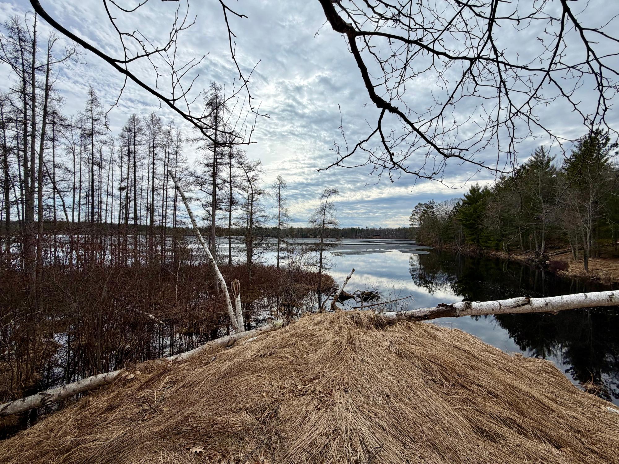 Undocumented Lake Property 3633 Kuczmarski Dr Photo 13