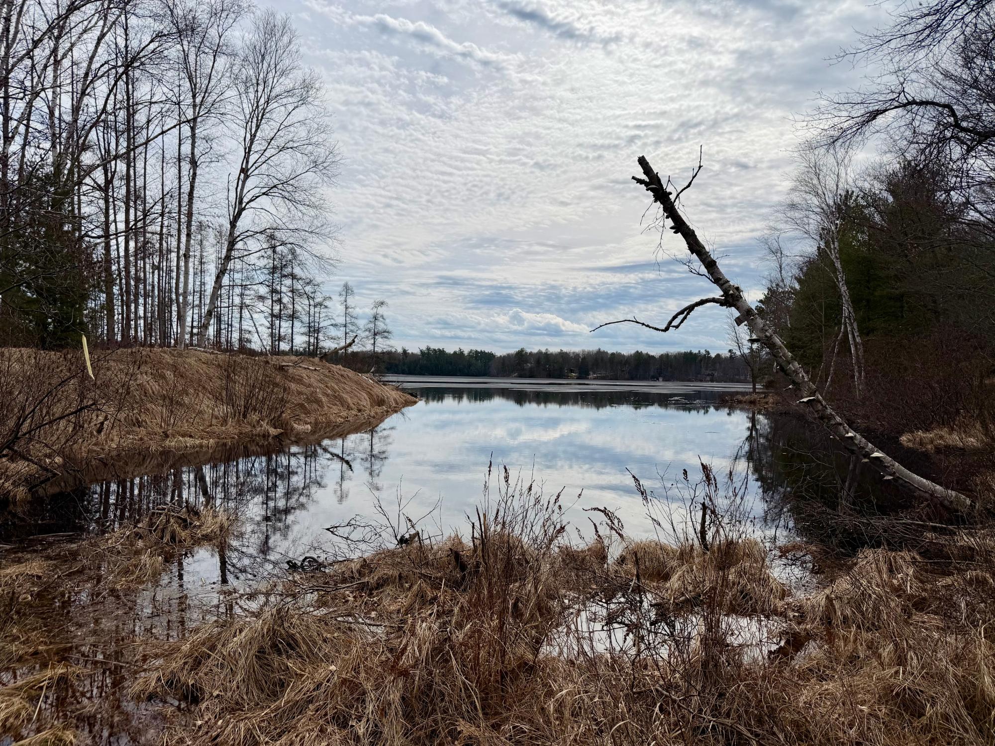 Undocumented Lake Property 3633 Kuczmarski Dr Photo 15