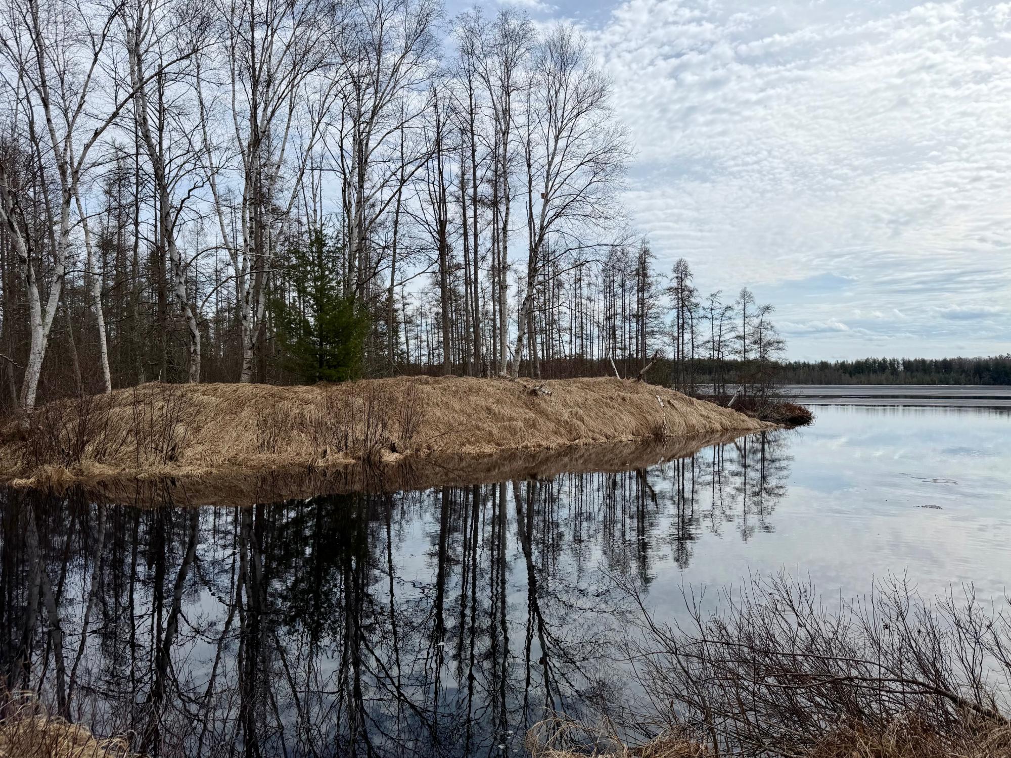 Undocumented Lake Property 3633 Kuczmarski Dr Photo 16