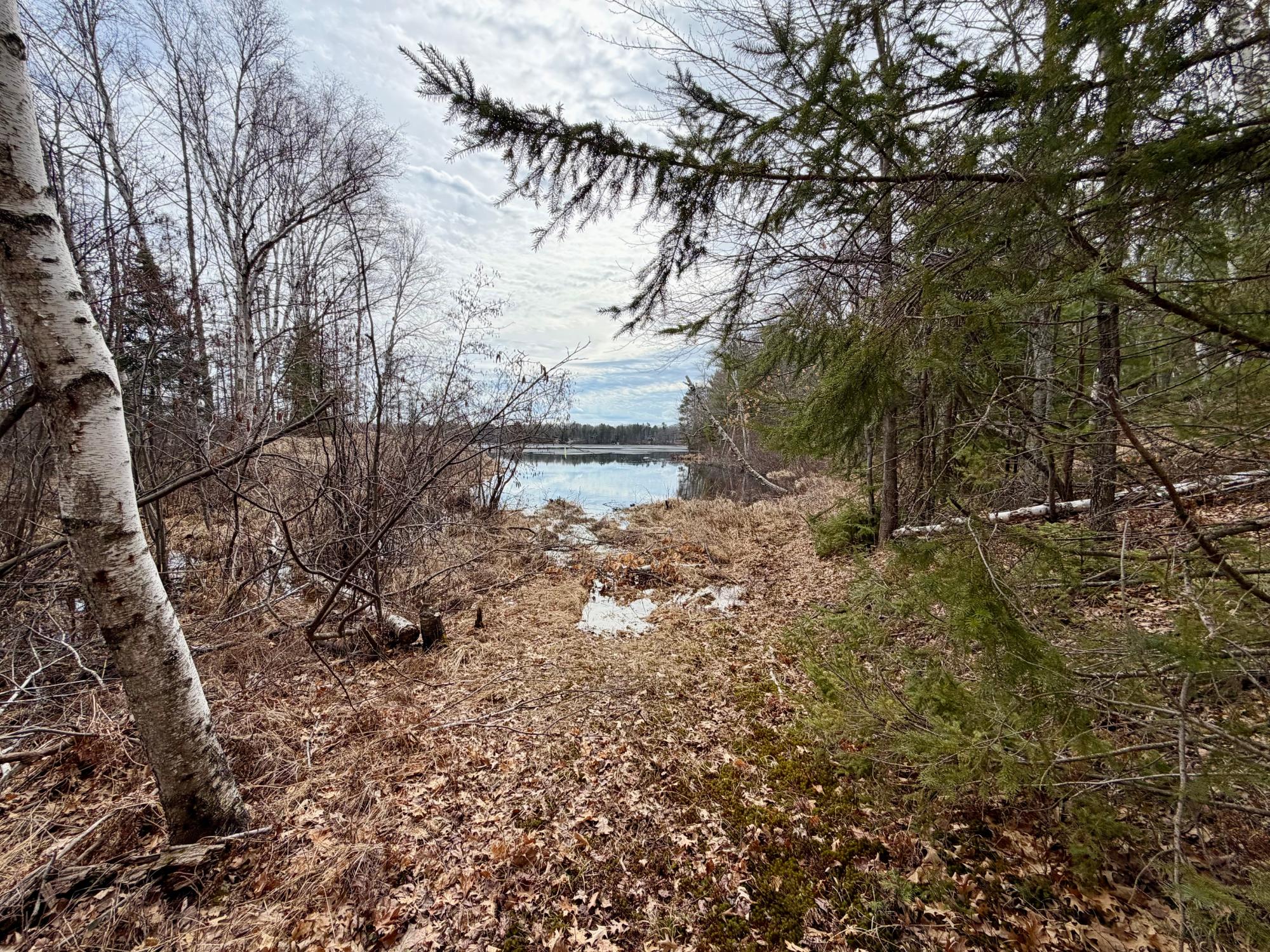 Undocumented Lake Property 3633 Kuczmarski Dr Photo 21