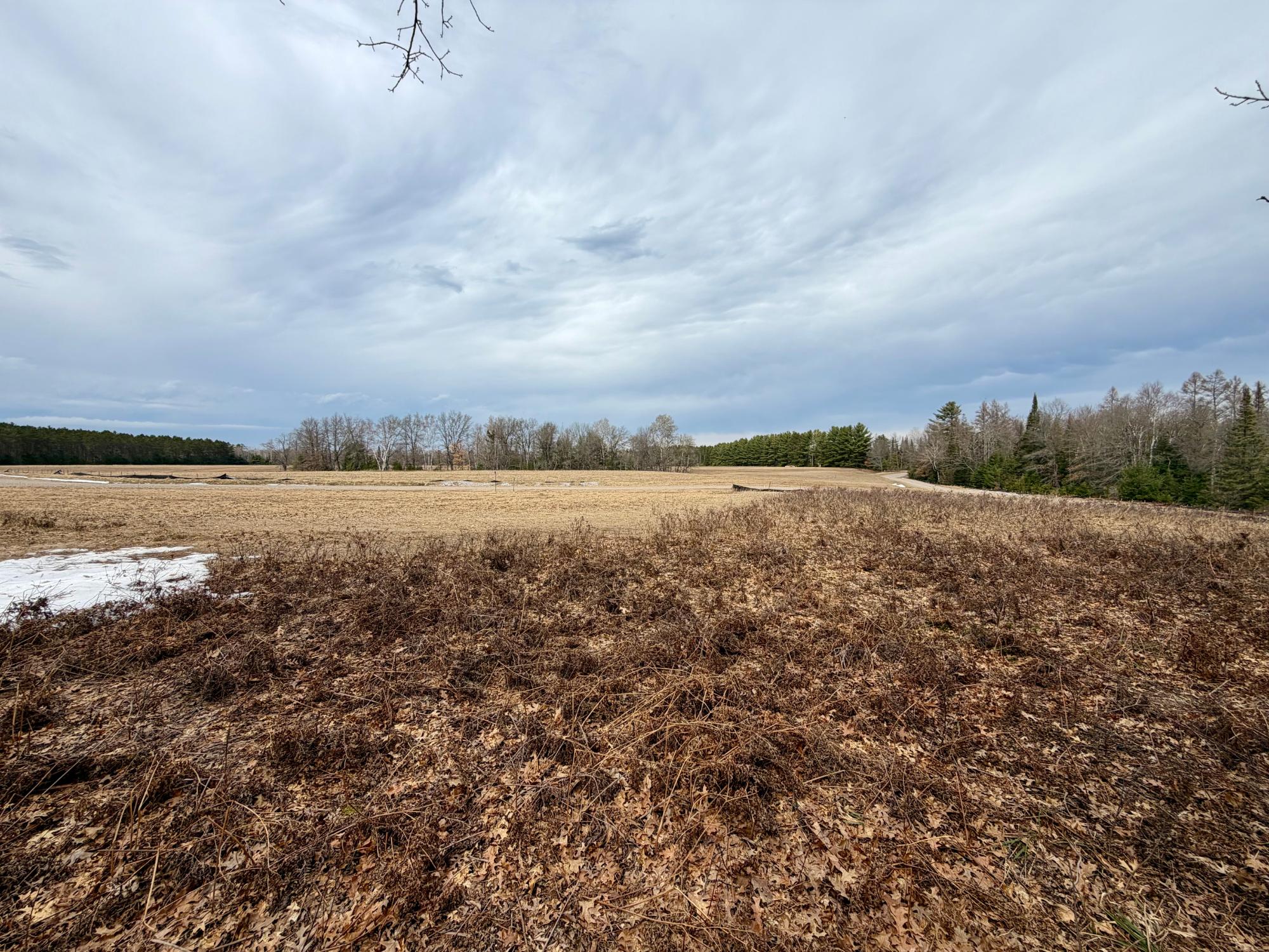 Undocumented Lake Property 3633 Kuczmarski Dr Photo 23