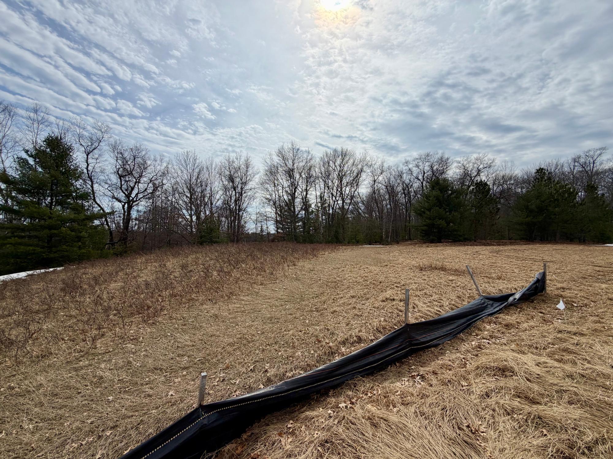 Undocumented Lake Property 3633 Kuczmarski Dr Photo 25