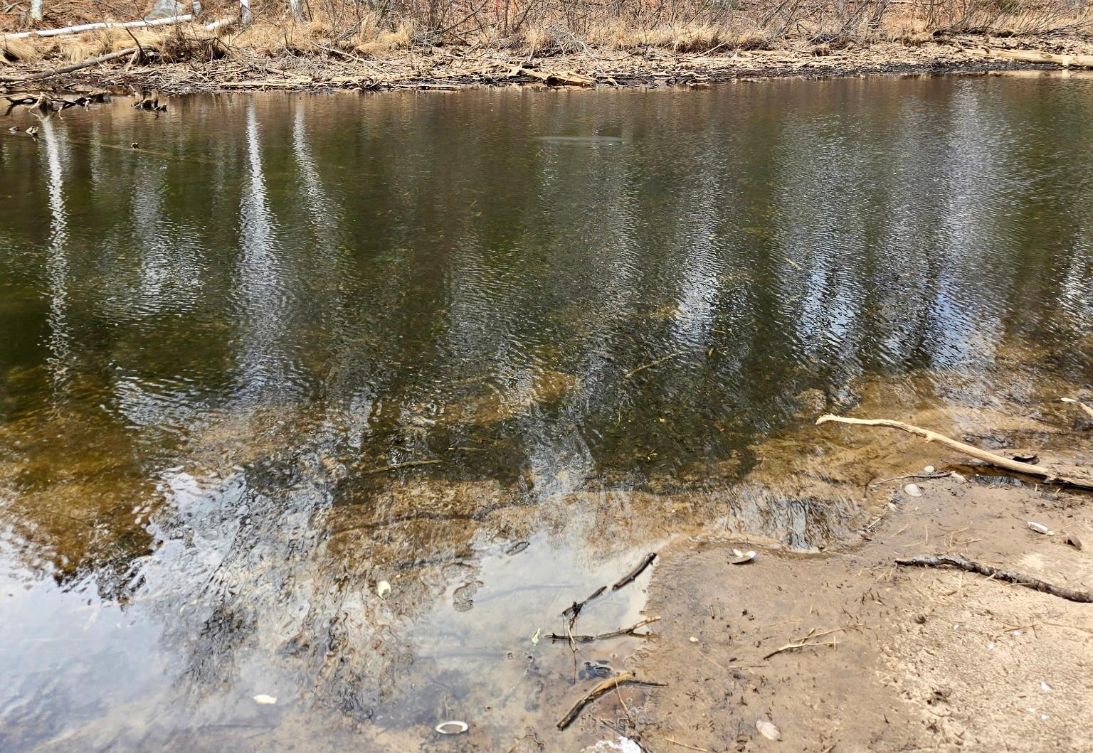 Undocumented Lake Property 3633 Kuczmarski Dr Photo 27