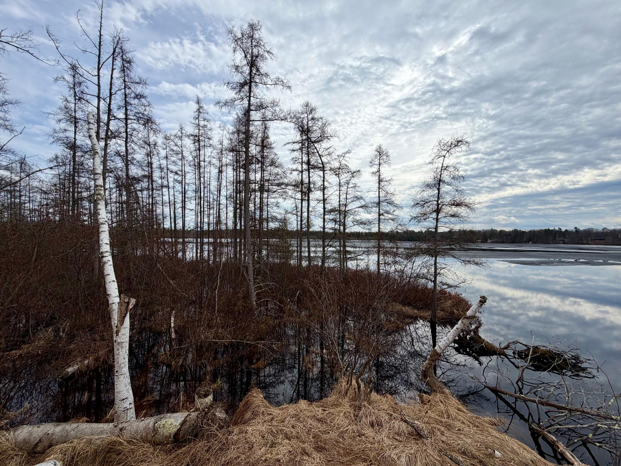 Undocumented Lake Property 3633 Kuczmarski Dr Photo 6