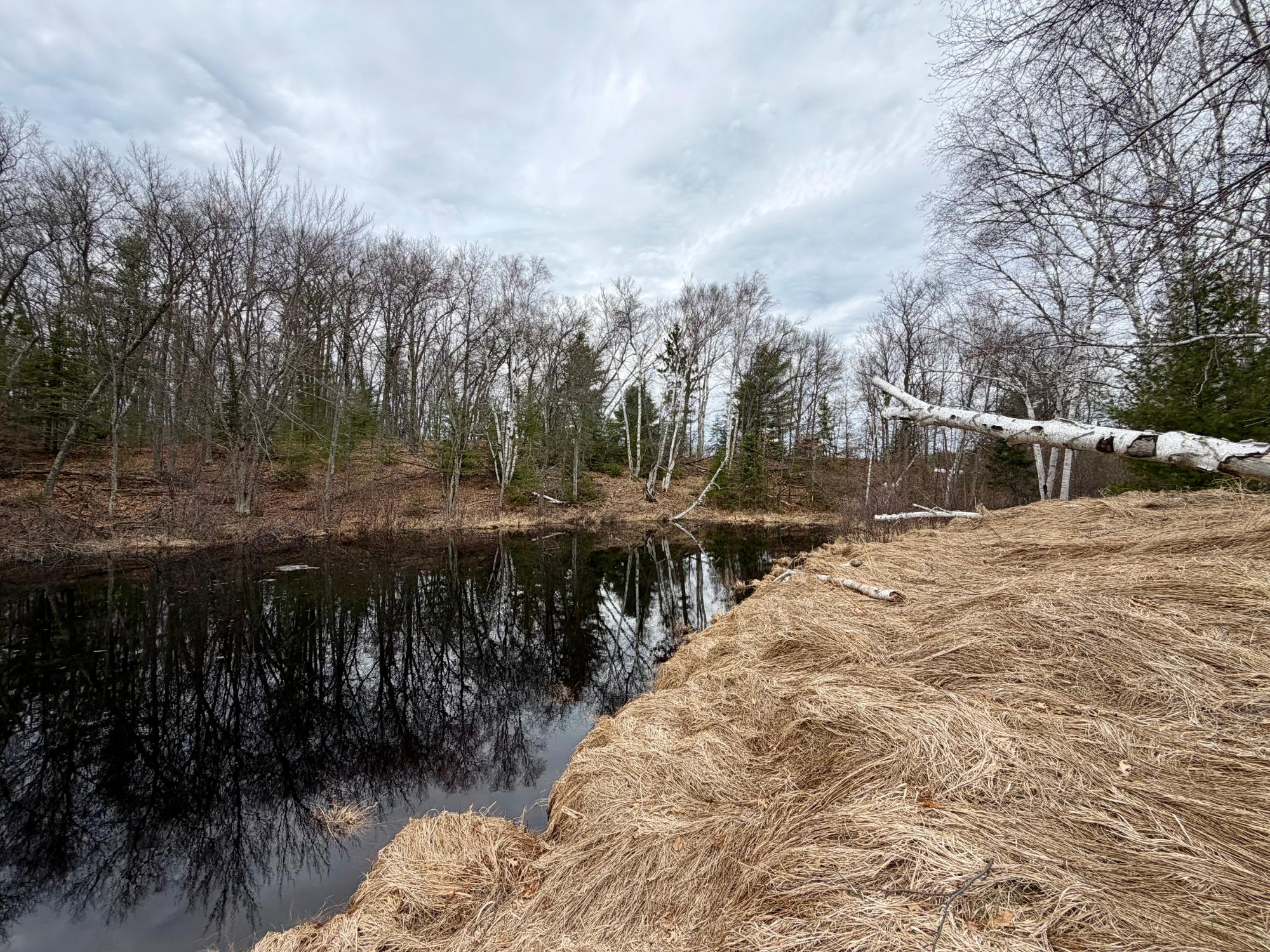 Undocumented Lake Property 3633 Kuczmarski Dr Photo 7