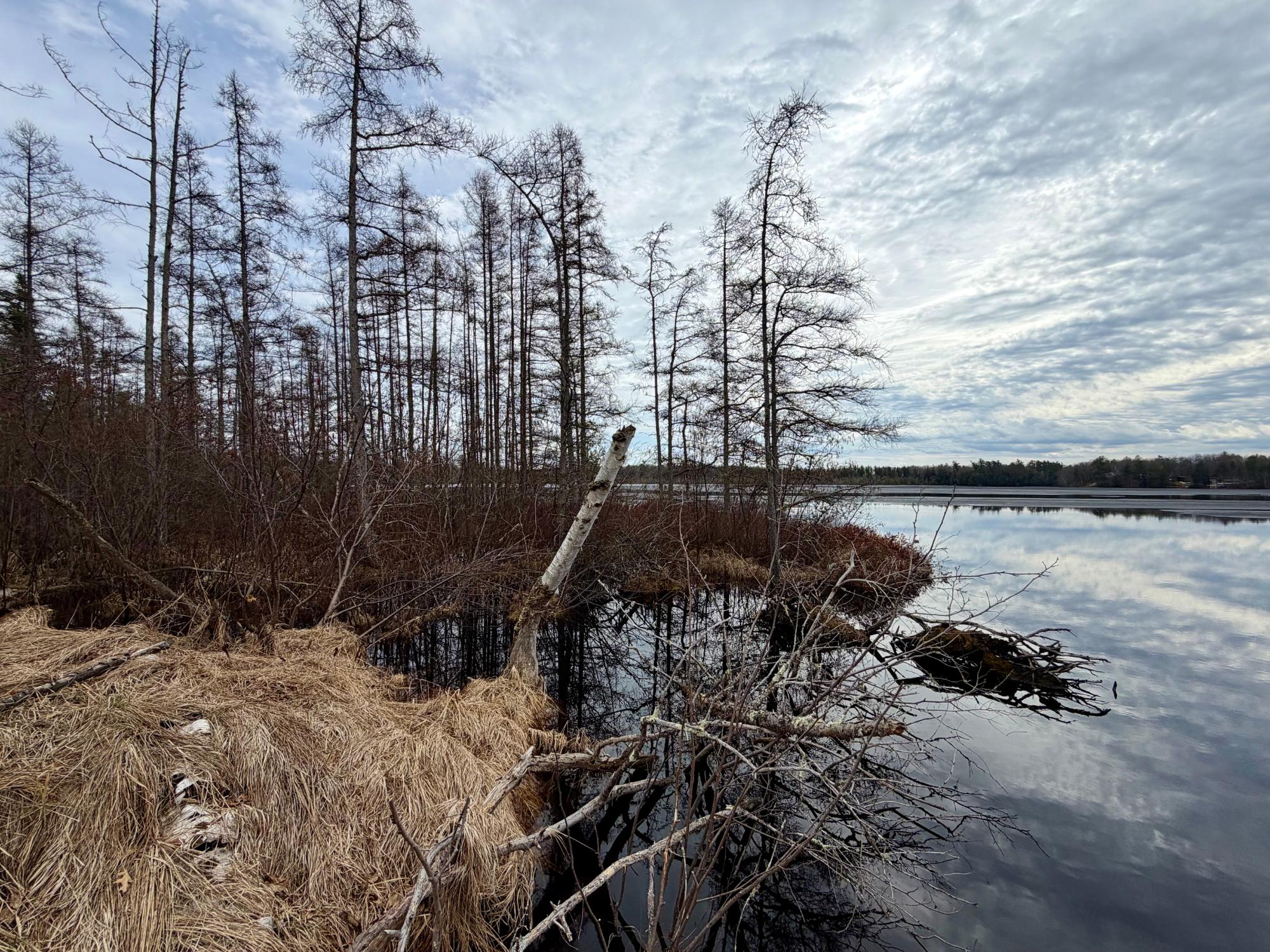 Undocumented Lake Property 3633 Kuczmarski Dr Photo 8