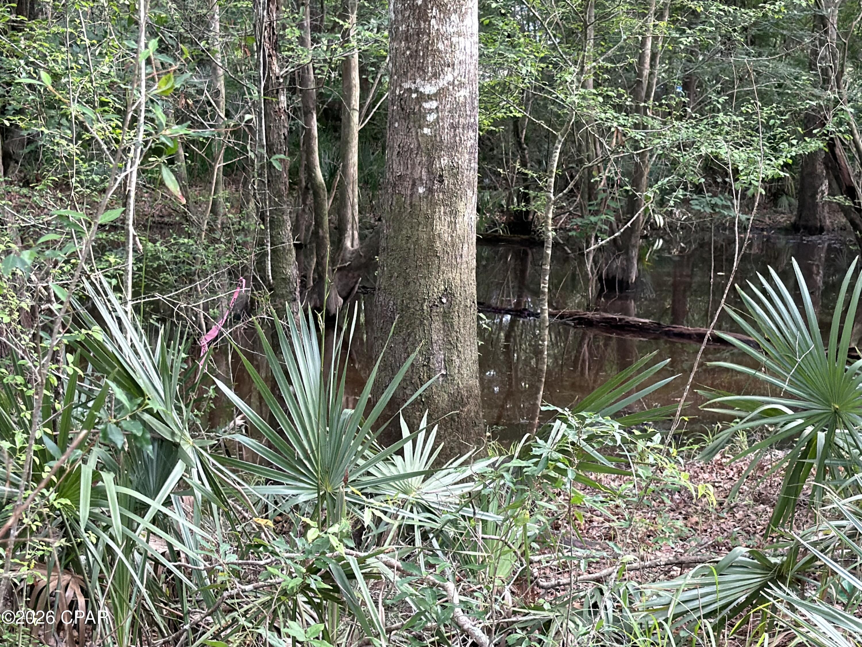 3rd image of 0 Big Cedar Rd, Ponce De Leon, FL 32455 | MLS# 784172
