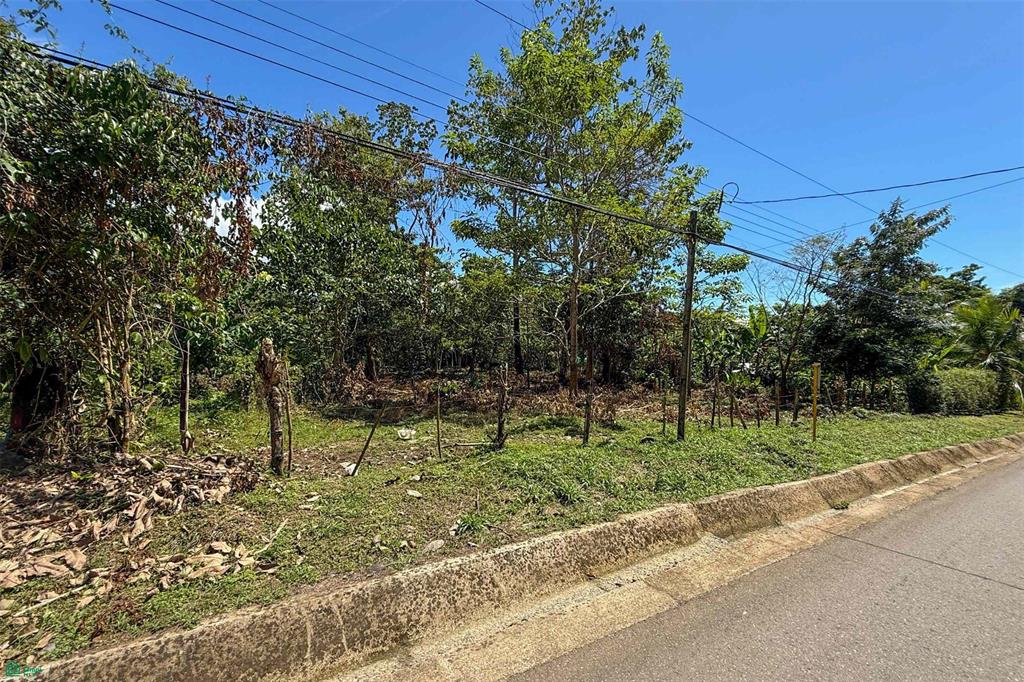  bed Land For Sale in Puerto Cortes, Puntarenas - 1