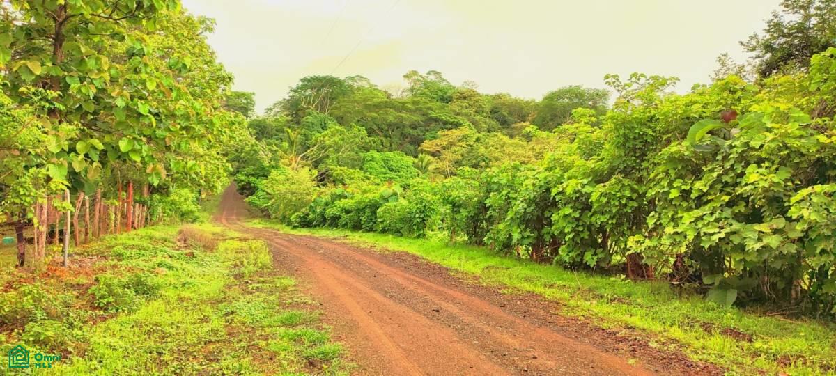 0 bed Land For Sale in Garabito, Puntarenas - 1