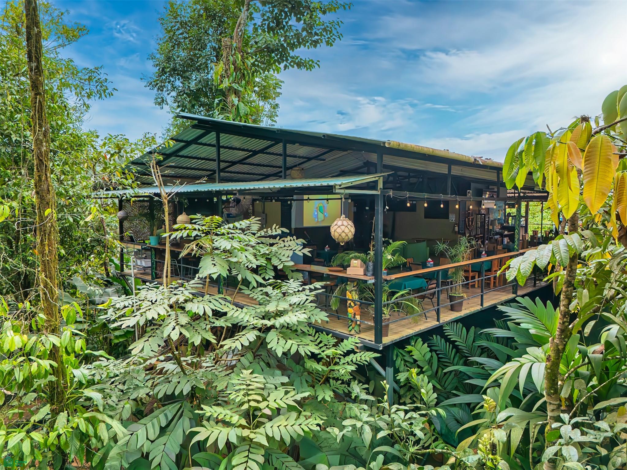  bed Commercial For Sale in Osa, Puntarenas - 1