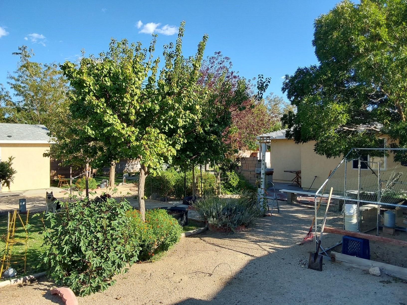 Property Photo 18