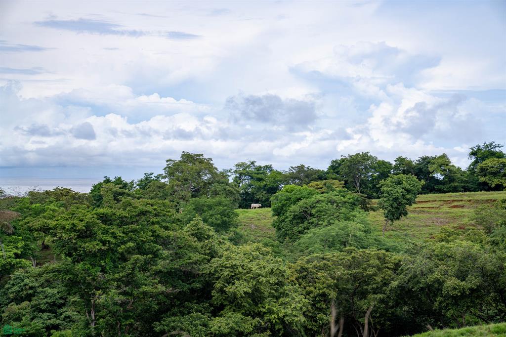  bed Land For Sale in Santa Cruz, Guanacaste - 1