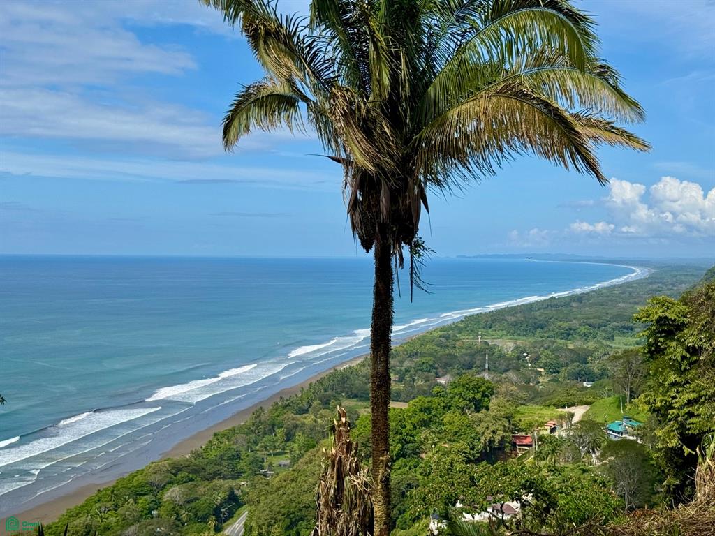  bed Land For Sale in Puntarenas, Puntarenas - 1