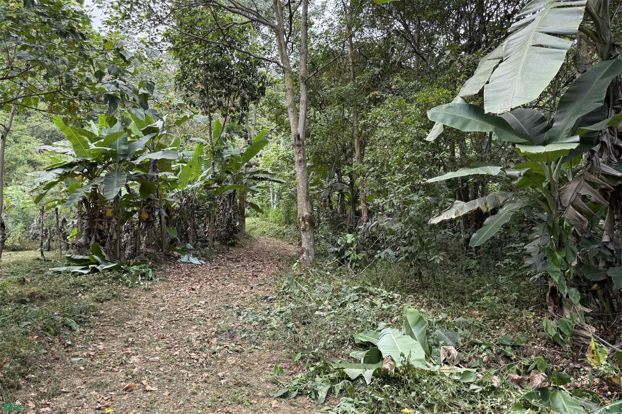  bed Land For Sale in Perez Zeledon, San Jose - 1
