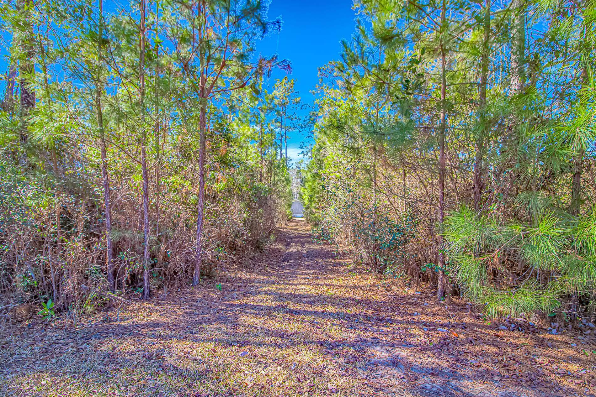 81 Silver Pond Ln 