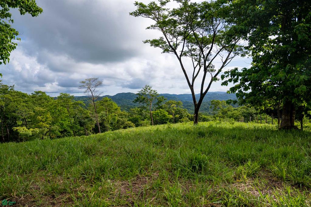  bed Land For Sale in Santa Cruz, Guanacaste - 1