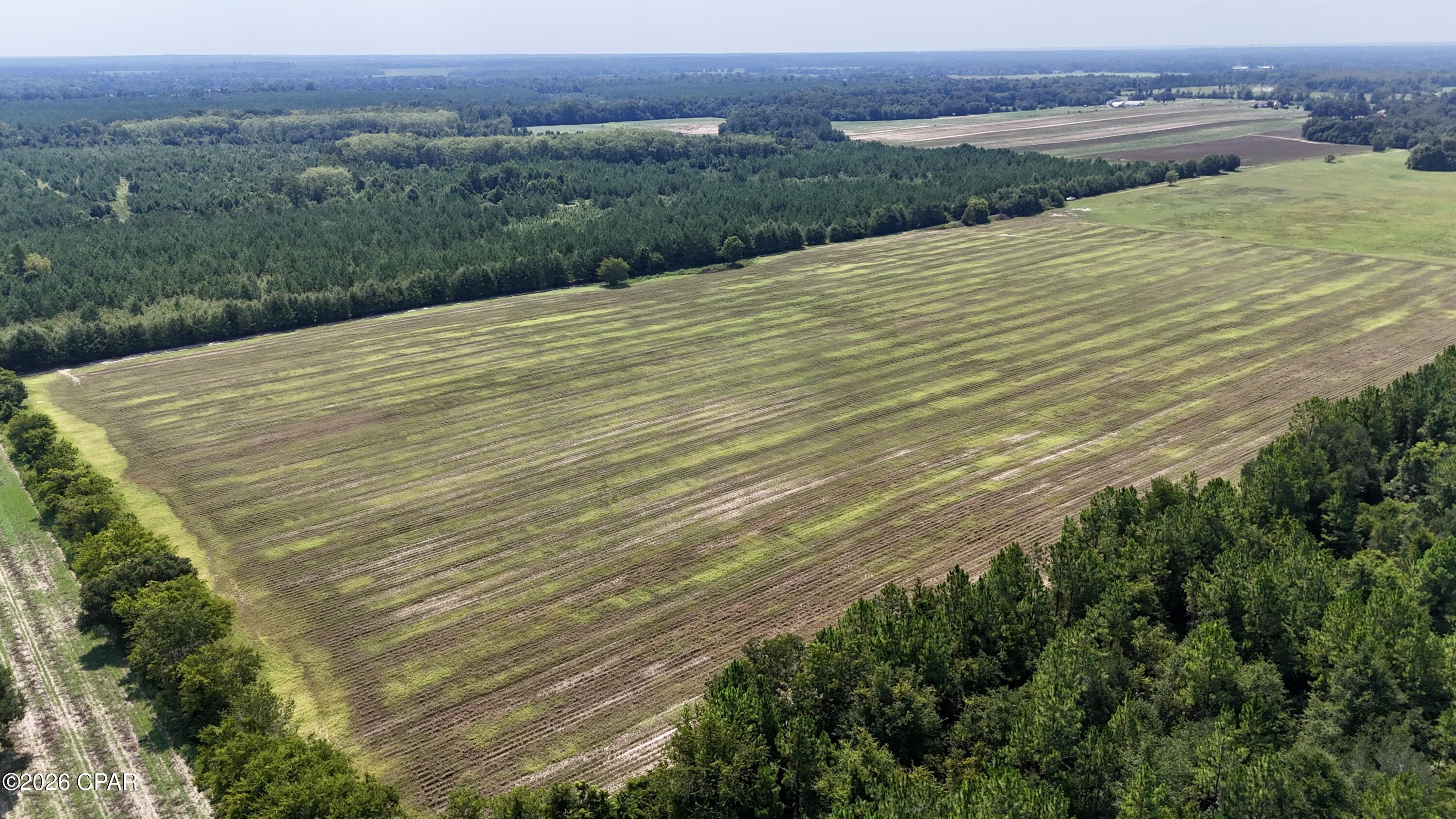 Land for sale at 0 Peanut Rd, Cottondale, FL 32431 | MLS# 784918