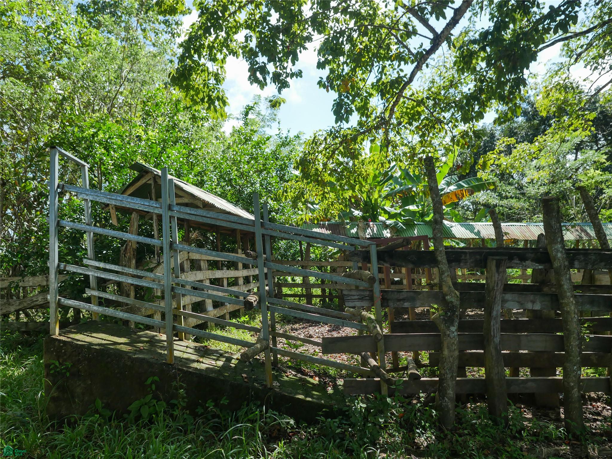  bed Land For Sale in Puntarenas, Puntarenas - 1
