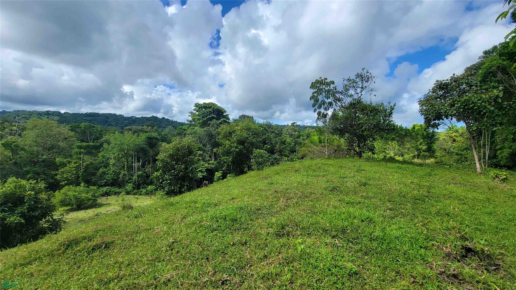  bed Land For Sale in Golfito, Puntarenas - 1