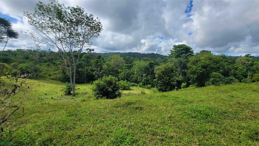  bed Land For Sale in Golfito, Puntarenas - 1