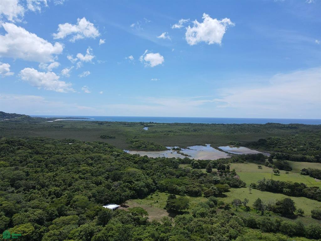  bed Land For Sale in Santa Cruz, Guanacaste - 1